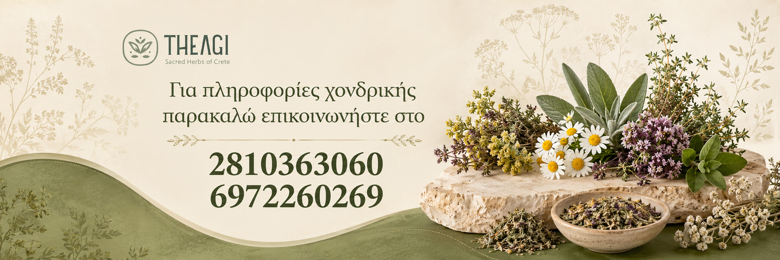 Theagi — Πληροφορίες χονδρικής πώλησης βοτάνων Κρήτης, επικοινωνήστε μαζί μας